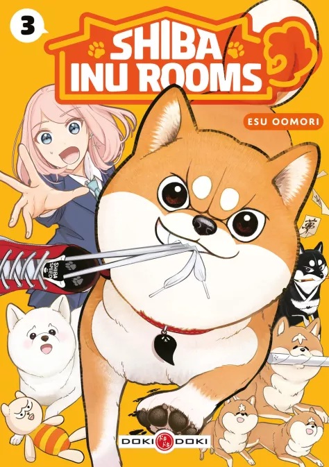 Shiba inu rooms 2 & 3